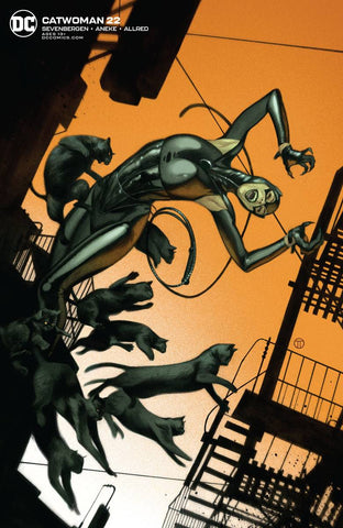 Catwoman (5th Series) 22 Var A Comic Book NM