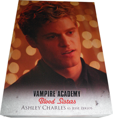 Vampire Academy Blood Sisters Complete 100 Card Basic Set