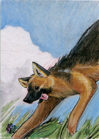 Canine Persuasion Sketch Card by Amber Stone