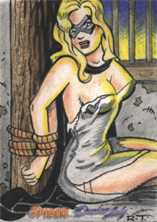 Moonstone Domino Lady & The Spider Sketch Card by Robin Thompson v7