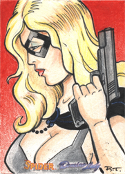 Moonstone Domino Lady & The Spider Sketch Card by Robin Thompson v8
