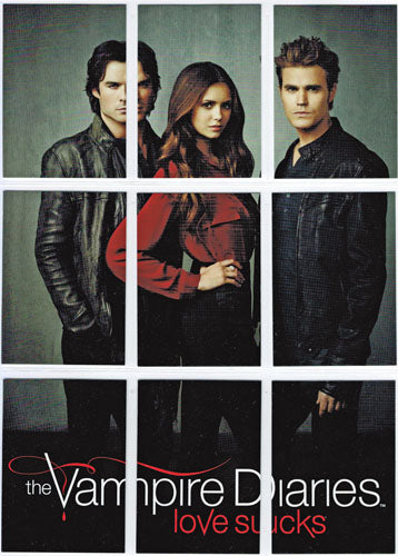 Vampire Diaries Season 4 Trio Puzzle Complete 9 Card Chase Set H1 to H9