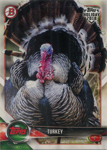 Topps Holiday Baseball 2018 Bowman Base Card WHP-T Turkey