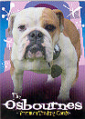Osbournes Pi Internet Exclusive Promo Card