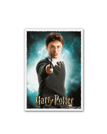 Dragon Shield WB100 Matte Art - WizardingWorld - Harry Potter