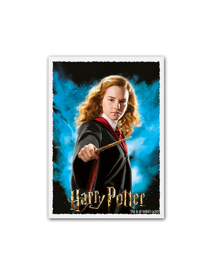 Dragon Shield WB100 Matte Art - WizardingWorld - Hermione Granger