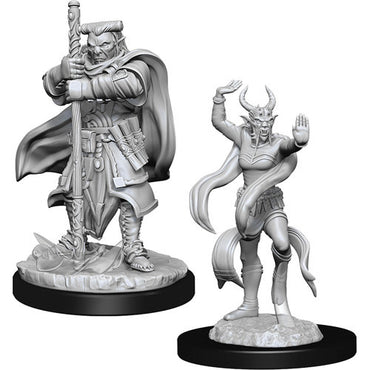 Nolzur's Marvelous Miniatures - Unpainted: Hobgoblin Devastator & Iron Shadow